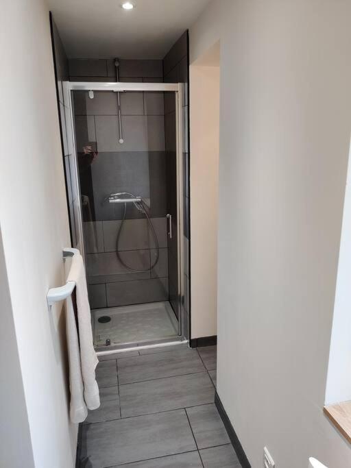 Appartement Cosy Avec Parking Proche Gare Dombasle-sur-Meurthe Zewnętrze zdjęcie