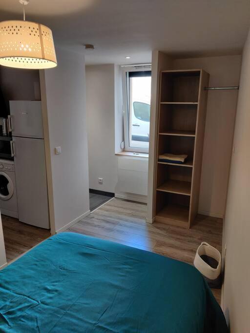 Appartement Cosy Avec Parking Proche Gare Dombasle-sur-Meurthe Zewnętrze zdjęcie